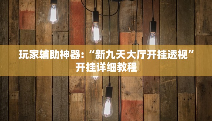 玩家辅助神器:“新九天大厅开挂透视”开挂详细教程