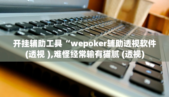 开挂辅助工具“wepoker辅助透视软件(透视 ),难怪经常输有猫腻 (透视)
