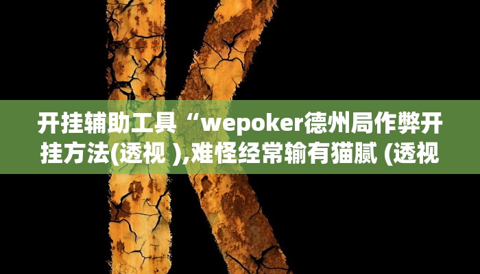 辅助教程“wepoker德州局透视挂专用(透视 ),难怪经常输有猫腻 (透视)