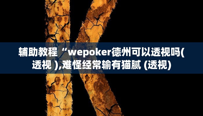 辅助教程“wepoker德州可以透视吗(透视 ),难怪经常输有猫腻 (透视)