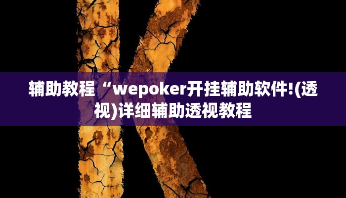辅助教程“wepoker开挂辅助软件!(透视)详细辅助透视教程