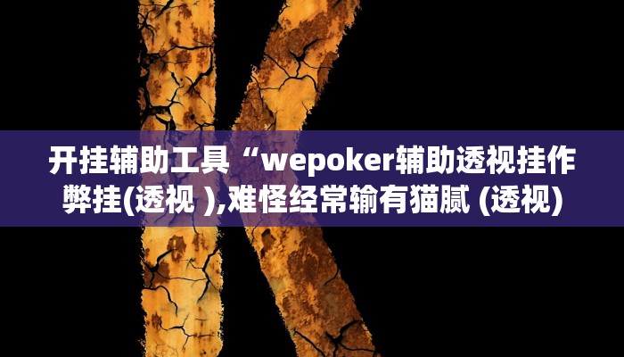 开挂辅助工具“wepoker辅助透视挂作弊挂(透视 ),难怪经常输有猫腻 (透视)