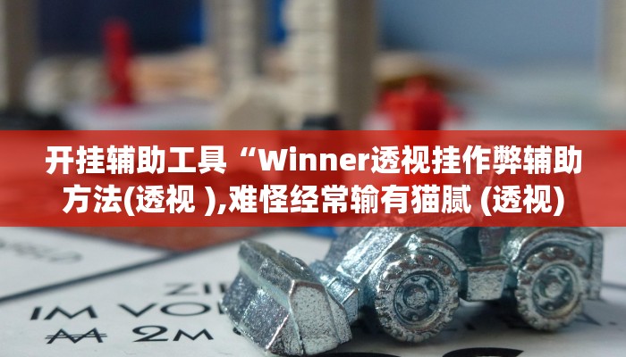 开挂辅助工具“Winner透视挂作弊辅助方法(透视 ),难怪经常输有猫腻 (透视)