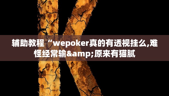开挂辅助工具“wePoker透视挂作弊方法(透视 ),难怪经常输有猫腻 (透视)