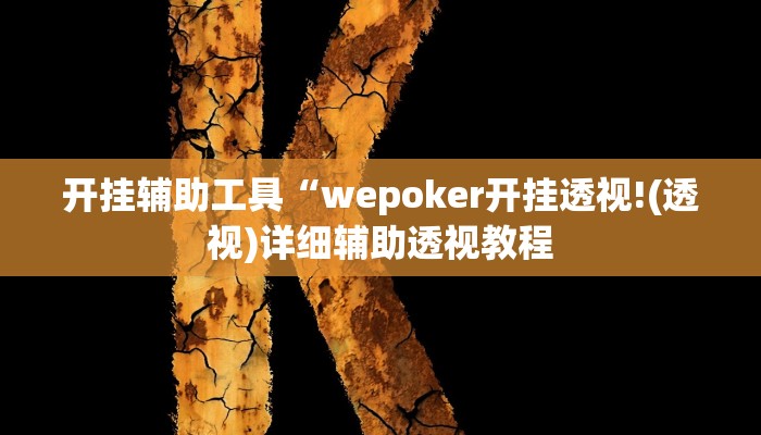 开挂辅助工具“wepoker开挂透视!(透视)详细辅助透视教程