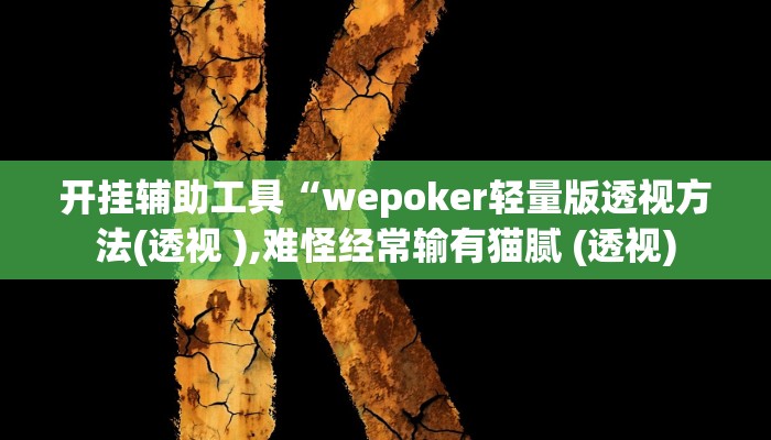 开挂辅助工具“wepoker轻量版透视方法(透视 ),难怪经常输有猫腻 (透视)