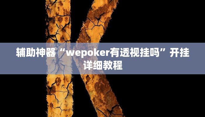 辅助神器“wepoker有透视挂吗”开挂详细教程
