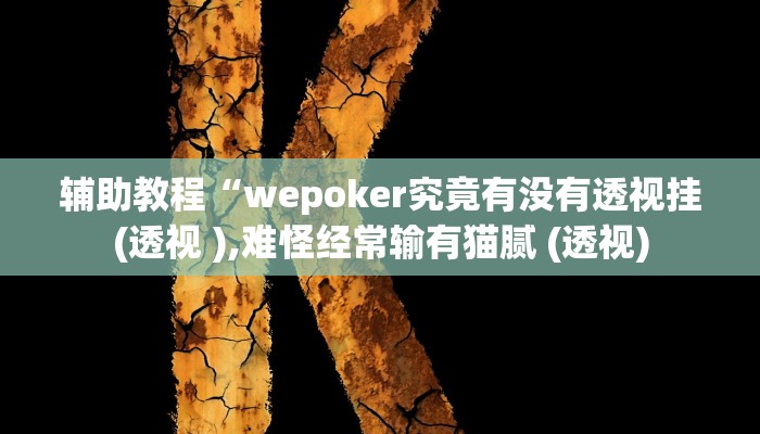 辅助教程“wepoker究竟有没有透视挂(透视 ),难怪经常输有猫腻 (透视)