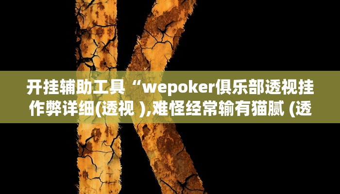 开挂辅助工具“wepoker俱乐部透视挂作弊详细(透视 ),难怪经常输有猫腻 (透视)