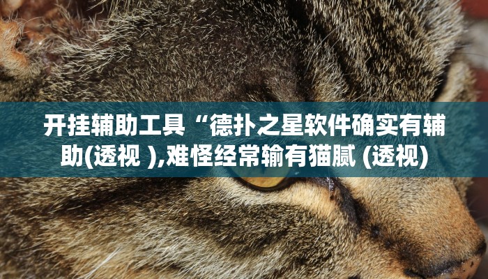 开挂辅助工具“德扑之星软件确实有辅助(透视 ),难怪经常输有猫腻 (透视)