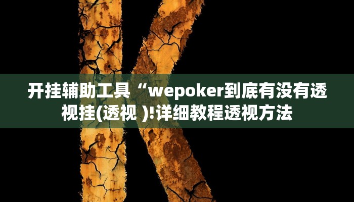 开挂辅助工具“wepoker到底有没有透视挂(透视 )!详细教程透视方法