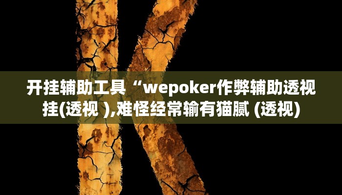 开挂辅助工具“wepoker作弊辅助透视挂(透视 ),难怪经常输有猫腻 (透视)
