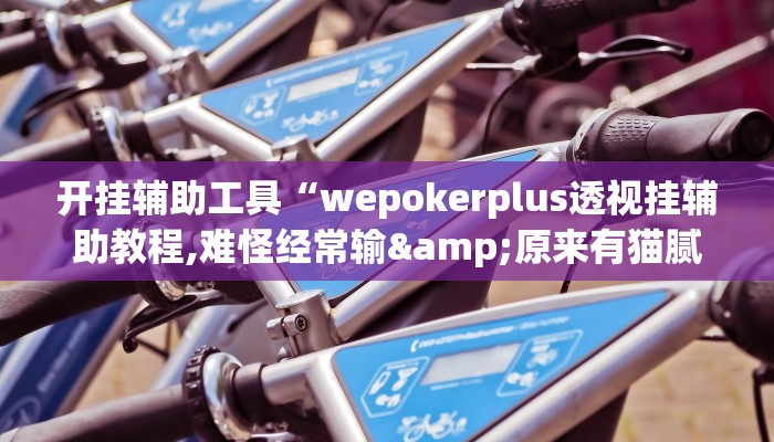 开挂辅助工具“wepokerplus透视挂辅助教程,难怪经常输&原来有猫腻