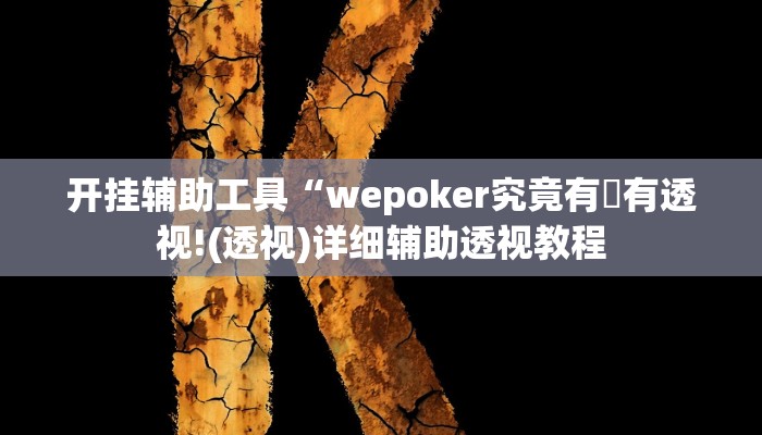 开挂辅助工具“wepoker究竟有沒有透视!(透视)详细辅助透视教程