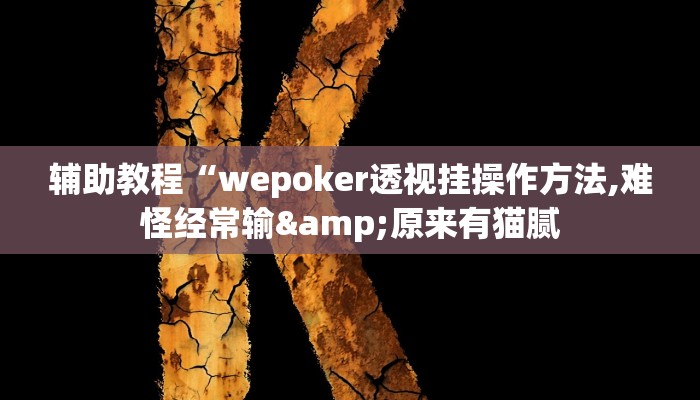 辅助教程“wepoker透视挂操作方法,难怪经常输&原来有猫腻