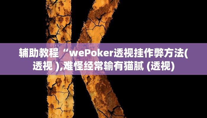 开挂辅助工具“wepoker挂先试用后付款(透视 ),难怪经常输有猫腻 (透视)