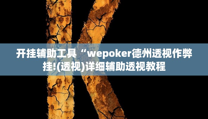 开挂辅助工具“wepoker德州透视作弊挂!(透视)详细辅助透视教程