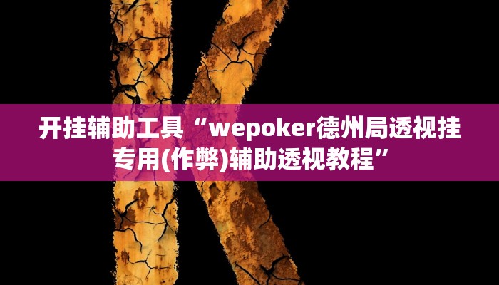 开挂辅助工具“wepoker德州局透视挂专用(作弊)辅助透视教程”