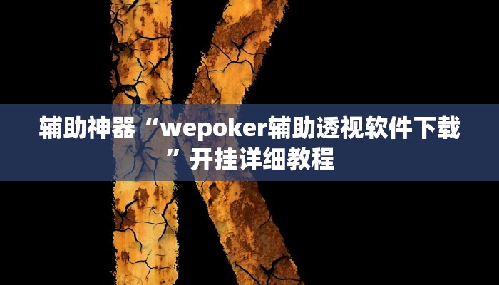 辅助神器“wepoker辅助透视软件下载”开挂详细教程