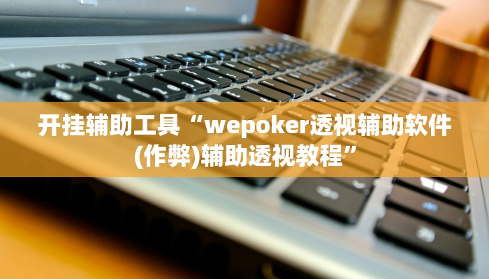 开挂辅助工具“wepoker透视辅助软件(作弊)辅助透视教程”