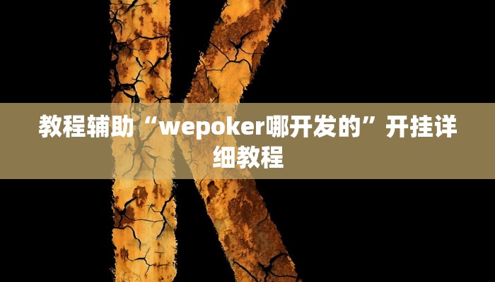 教程辅助“wepoker哪开发的”开挂详细教程