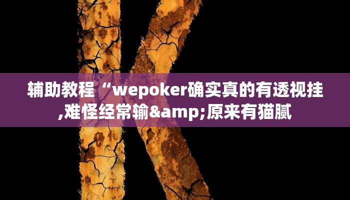辅助教程“wepoker确实真的有透视挂,难怪经常输&原来有猫腻
