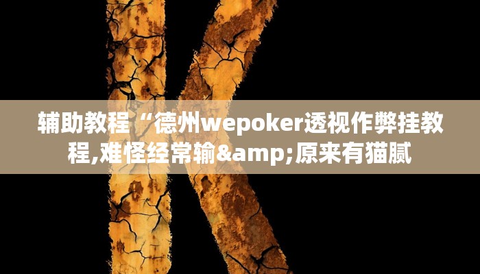 辅助教程“德州wepoker透视作弊挂教程,难怪经常输&原来有猫腻