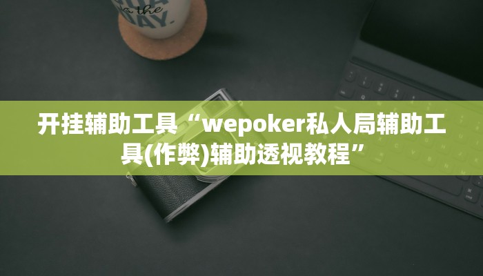 开挂辅助工具“wepoker私人局辅助工具(作弊)辅助透视教程”