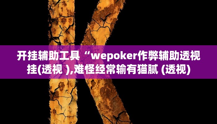 开挂辅助工具“wepoker作弊辅助透视挂(透视 ),难怪经常输有猫腻 (透视)