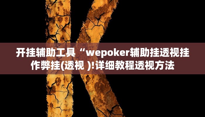 开挂辅助工具“wepoker辅助挂透视挂作弊挂(透视 )!详细教程透视方法