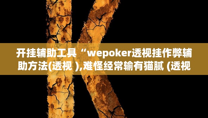 开挂辅助工具“wepoker透视挂作弊辅助方法(透视 ),难怪经常输有猫腻 (透视)