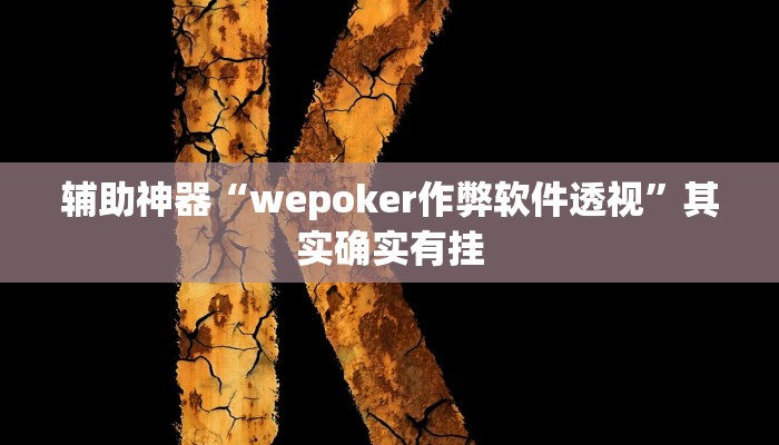 辅助神器“wepoker作弊软件透视”其实确实有挂