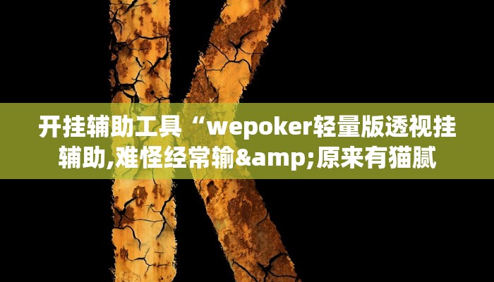 开挂辅助工具“wepoker轻量版透视挂辅助,难怪经常输&原来有猫腻