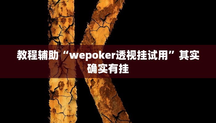 教程辅助“wepoker透视挂试用”其实确实有挂