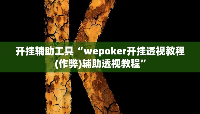 开挂辅助工具“wepoker开挂透视教程(作弊)辅助透视教程”