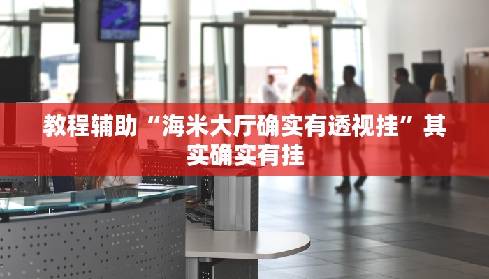 教程辅助“海米大厅确实有透视挂”其实确实有挂