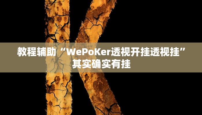 教程辅助“WePoKer透视开挂透视挂”其实确实有挂