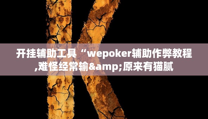 开挂辅助工具“wepoker辅助作弊教程,难怪经常输&原来有猫腻
