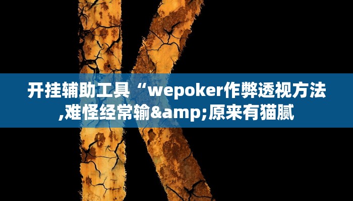 开挂辅助工具“wepoker作弊透视方法,难怪经常输&原来有猫腻
