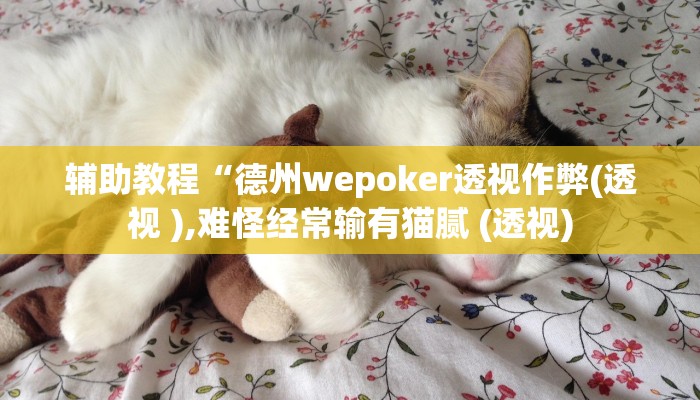 辅助教程“德州wepoker透视作弊(透视 ),难怪经常输有猫腻 (透视) 辅助教程“德州wepoker透视作弊(透视 ),难怪经常输有猫腻 (透视)