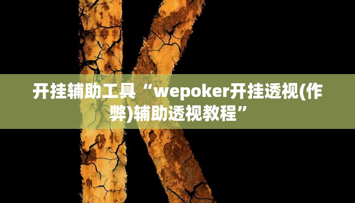 开挂辅助工具“wepoker开挂透视(作弊)辅助透视教程”
