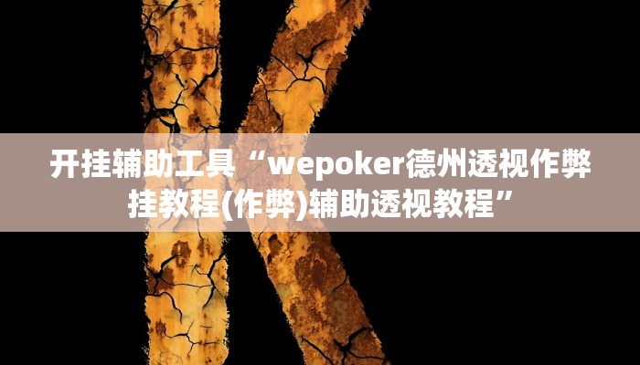开挂辅助工具“wepoker德州透视作弊挂教程(作弊)辅助透视教程”
