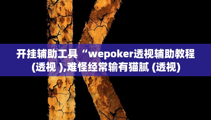 开挂辅助工具“wepoker透视辅助教程(透视 ),难怪经常输有猫腻 (透视)