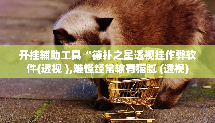 玩家辅助神器:“哥哥跑得快是不是真的有挂”开挂详细教程