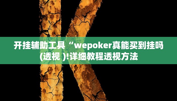 开挂辅助工具“wepoker真能买到挂吗(透视 )!详细教程透视方法