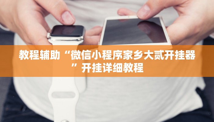 教程辅助“微信小程序家乡大贰开挂器”开挂详细教程