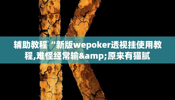 辅助教程“新版wepoker透视挂使用教程,难怪经常输&原来有猫腻