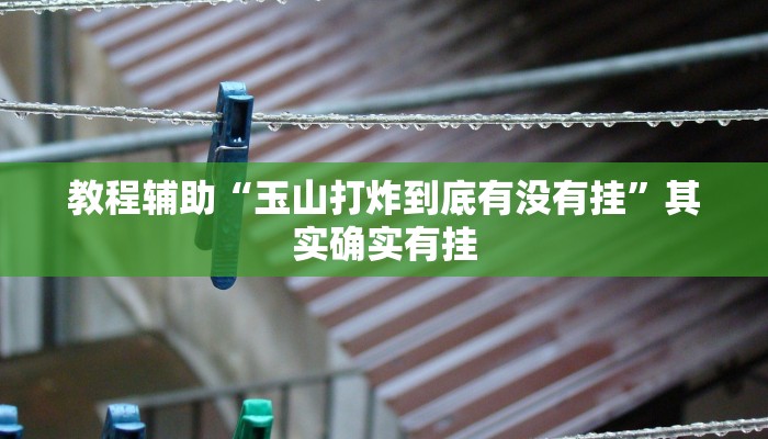 教程辅助“玉山打炸到底有没有挂”其实确实有挂