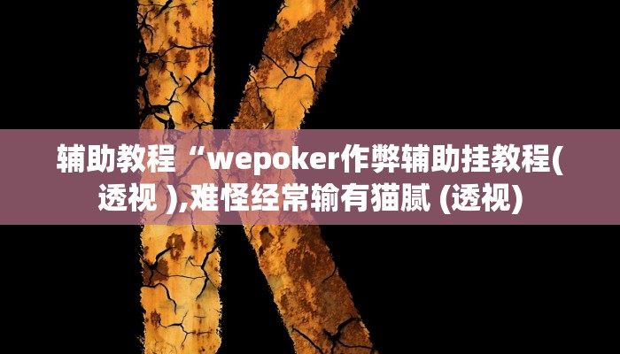 玩家辅助神器:“wepoker俱乐部透视挂”开挂详细教程