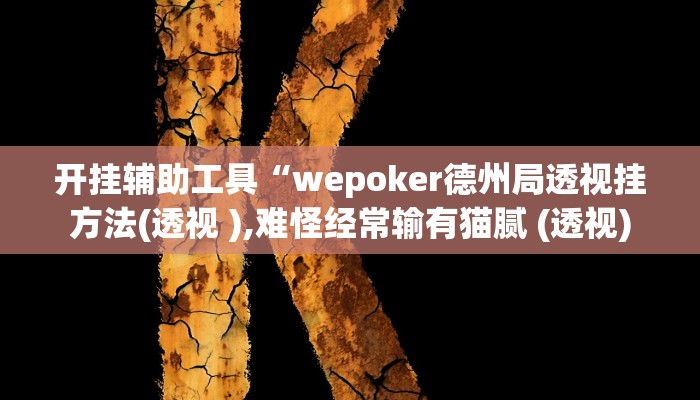 开挂辅助工具“wepoker德州局透视挂方法(透视 ),难怪经常输有猫腻 (透视)